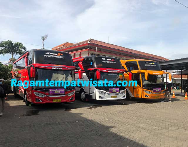 Daftar Harga Sewa Bus Pariwisata di Malang Daftar Harga Sewa Bus Pariwisata di Malang